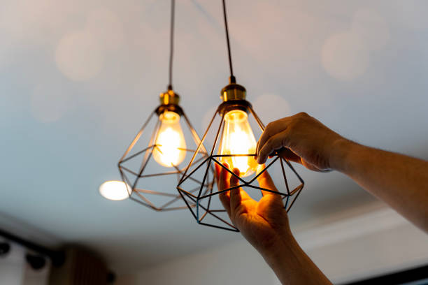 Best Affordable Electrician  in Rapids, NY